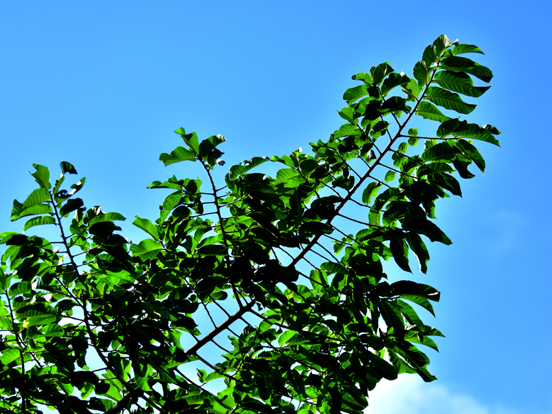 微信圖片_20200703162928 微信圖片_20200703162928