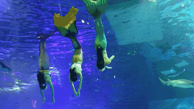 微信圖片_20200823085631 微信圖片_20200823085631