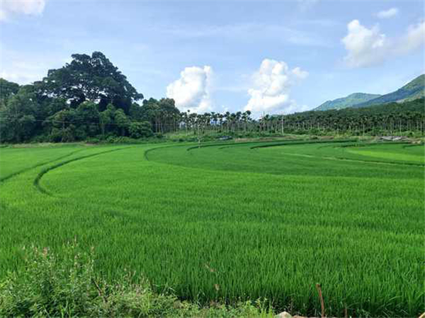 微信圖片_20200929170556