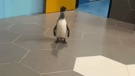 微信圖片_20200930183855 微信圖片_20200930183855