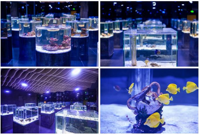 微信截圖_20200930184128 微信截圖_20200930184128