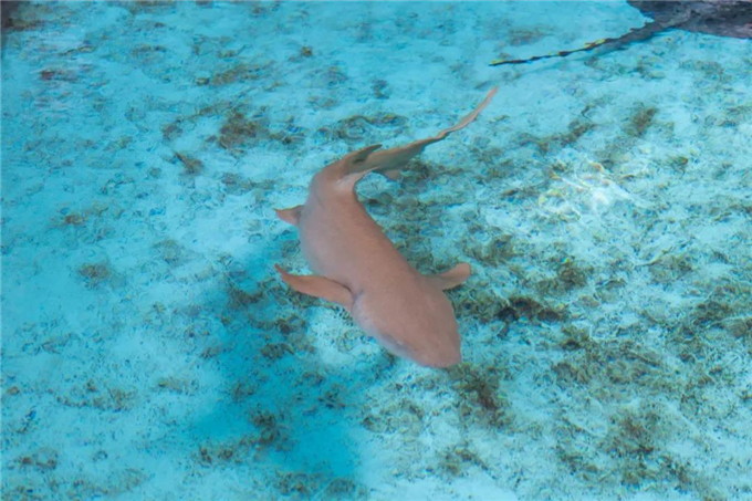 微信圖片_20200930184150 微信圖片_20200930184150