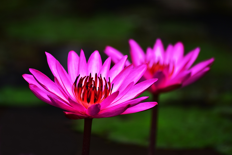 微信圖片_20201212100614