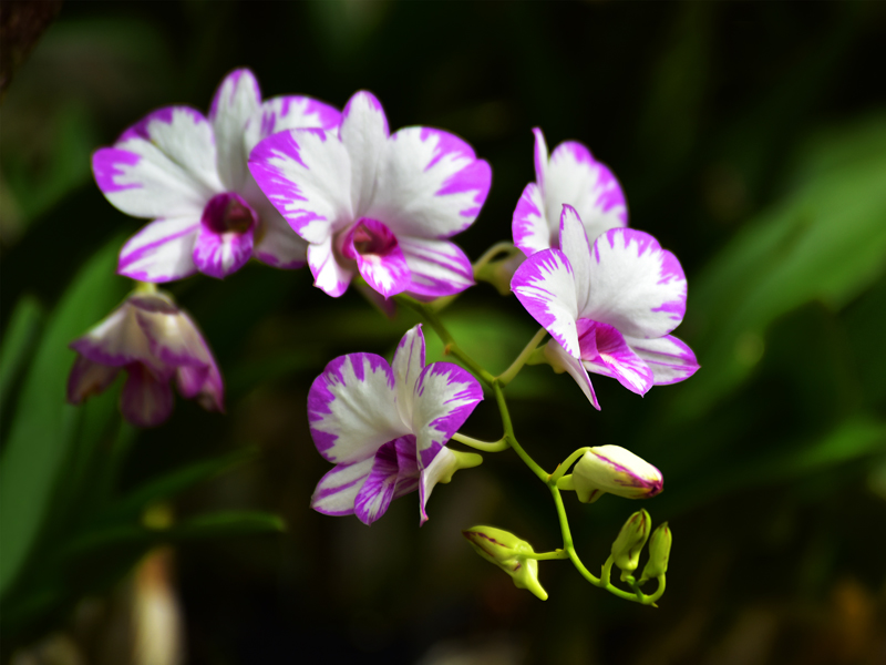 微信圖片_20201212100646