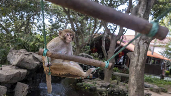 9a7a2899ae6792c045f4efa5b5470f4 9a7a2899ae6792c045f4efa5b5470f4