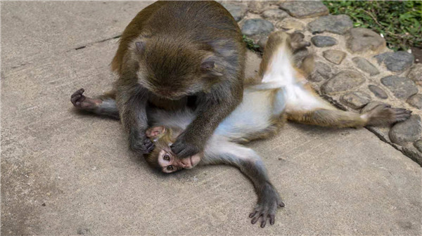 13b84ea3a71fb4f649eec42279ec14b 13b84ea3a71fb4f649eec42279ec14b