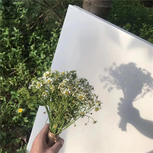 微信圖片_20210225104728