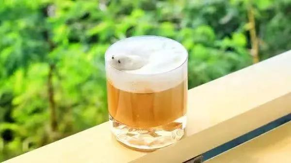 微信圖片_20210304092104