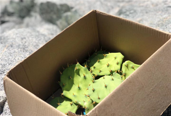 微信圖片_20210307113230 微信圖片_20210307113230