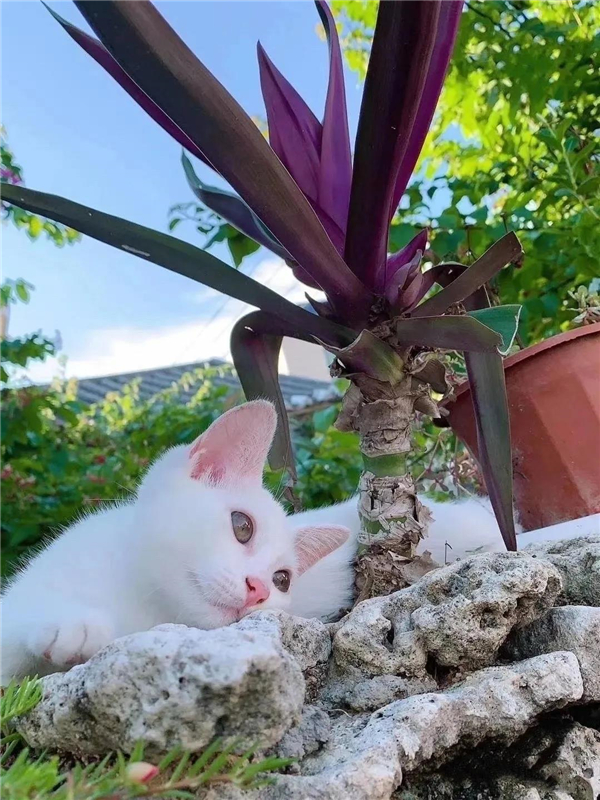 微信圖片_20210307113205 微信圖片_20210307113205