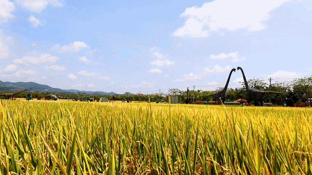 微信圖片_20210430184050 微信圖片_20210430184050