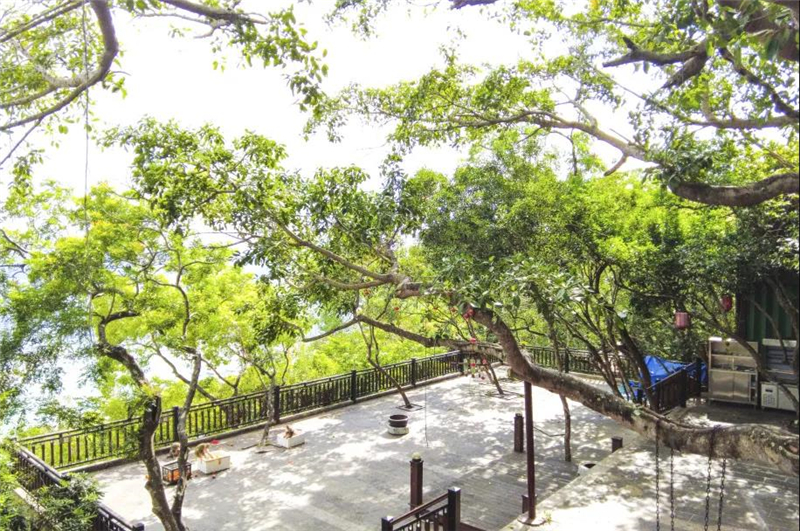 微信圖片_20210513152423