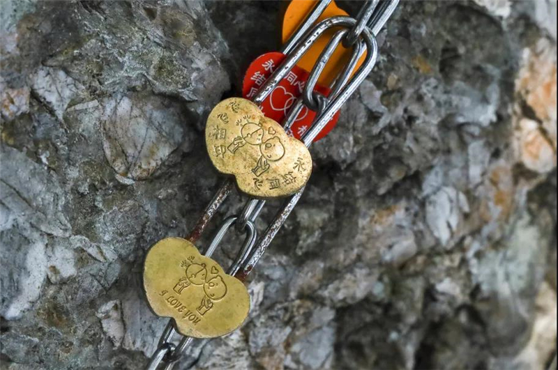 微信圖片_20210513152438