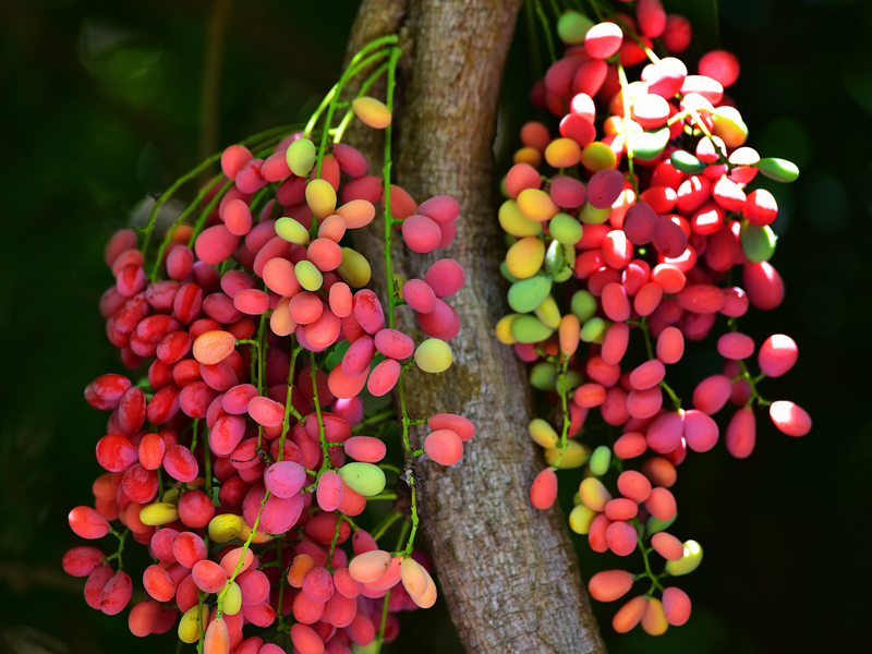 微信圖片_20210622164129