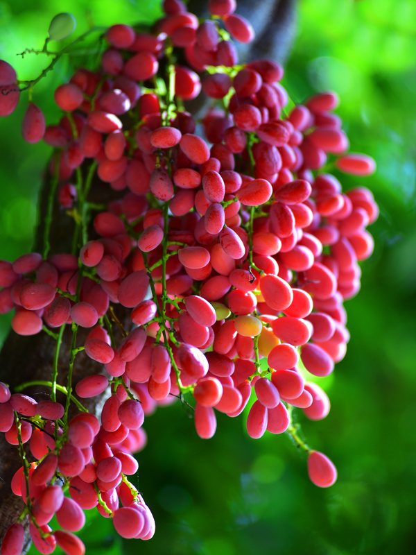 微信圖片_20210622164145