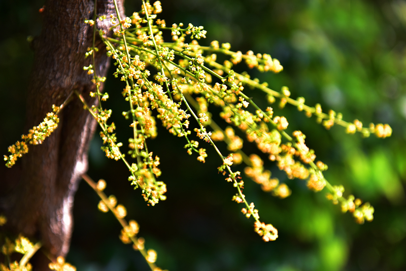 微信圖片_20210622164215