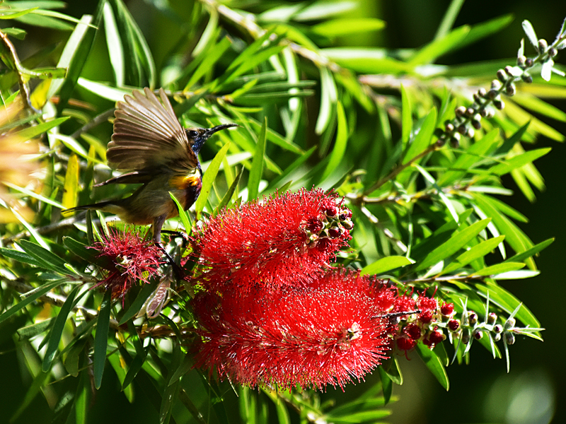 微信圖片_20220310173418