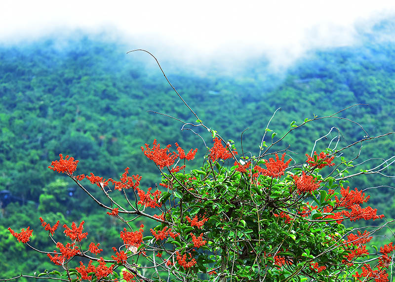 微信圖片_20220505172606