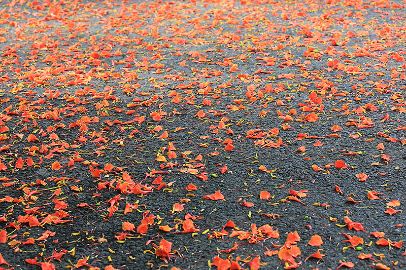 微信圖片_20220609150011