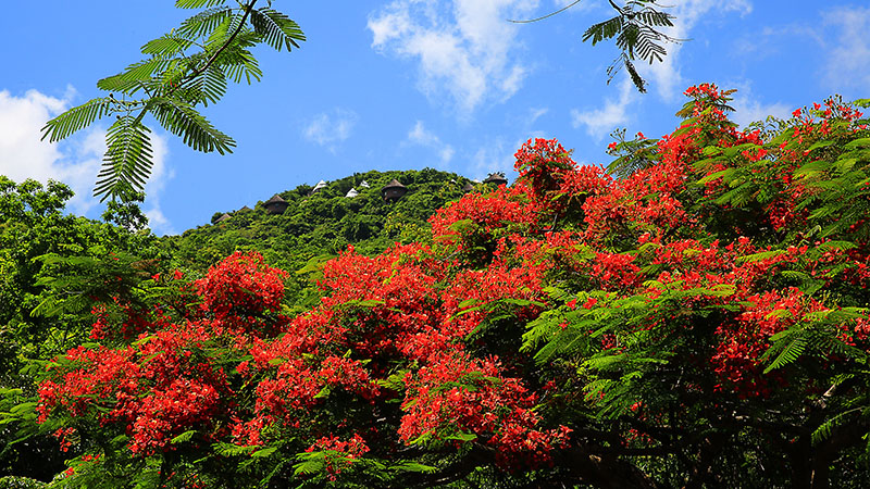 微信圖片_20220609145932