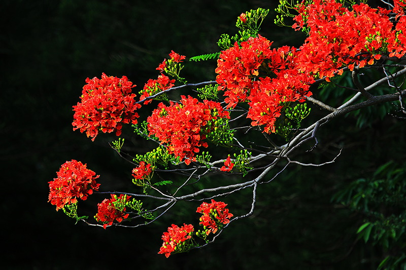 微信圖片_20220609145943