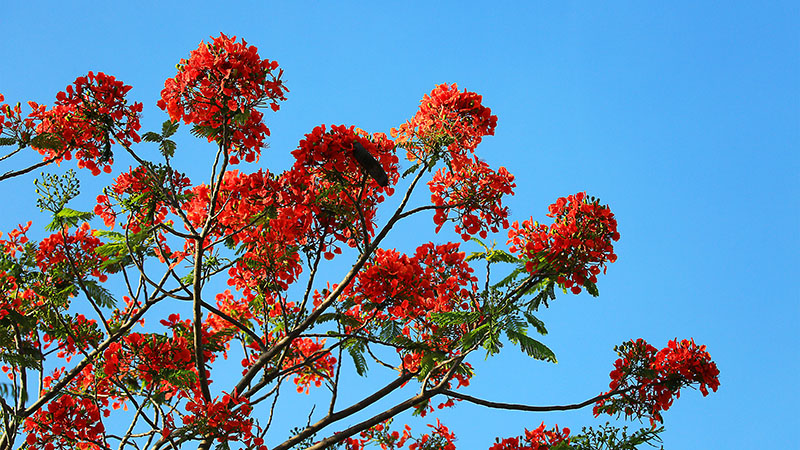 微信圖片_20220609145914