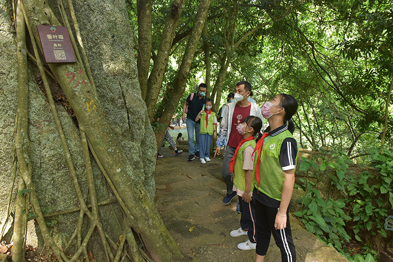 微信圖片_20221031154417 微信圖片_20221031154417