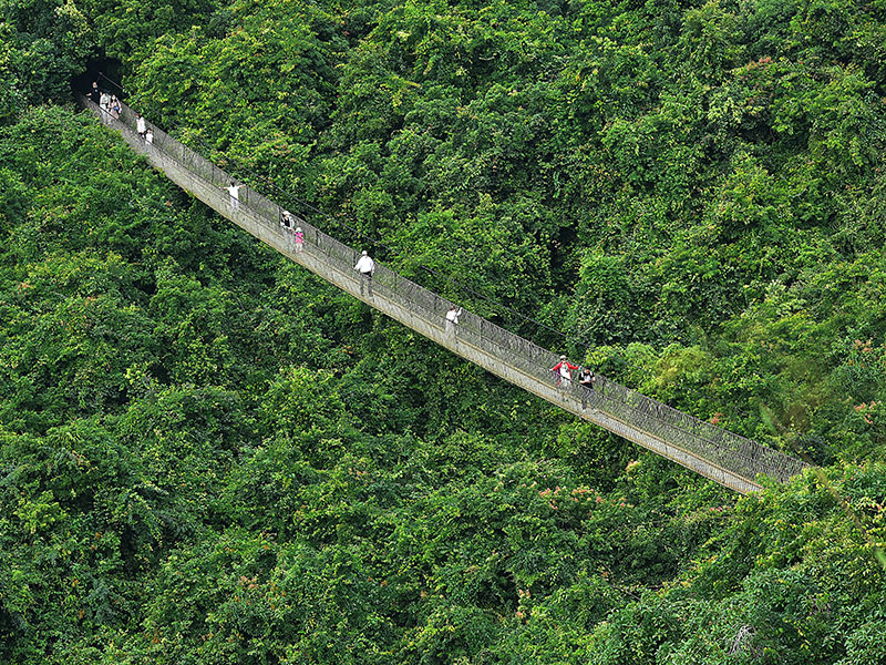 微信圖片_20221208110537 微信圖片_20221208110537