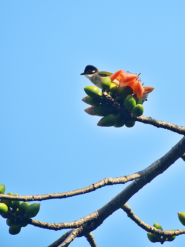 微信圖片_20230220153629