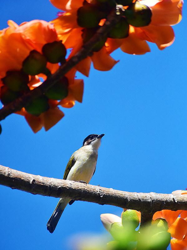 微信圖片_20230220153639