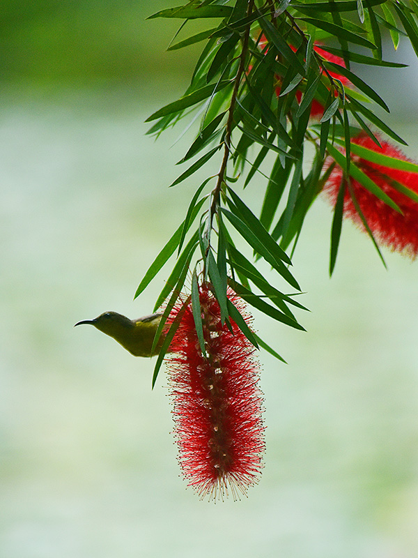 微信圖片_20230313094919