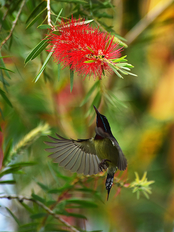 微信圖片_20230313094841