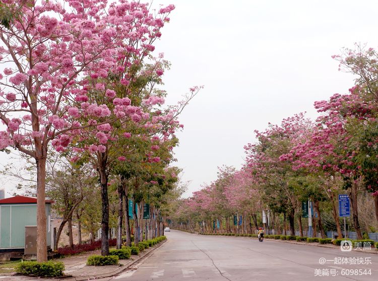 微信圖片_20230313091411