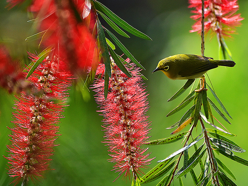 微信圖片_20230313094837