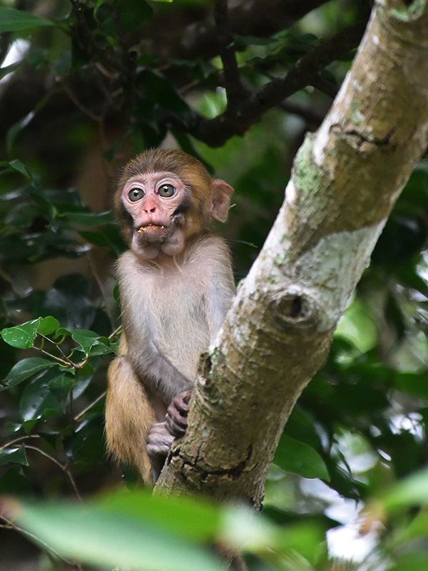 20230403095943_84092