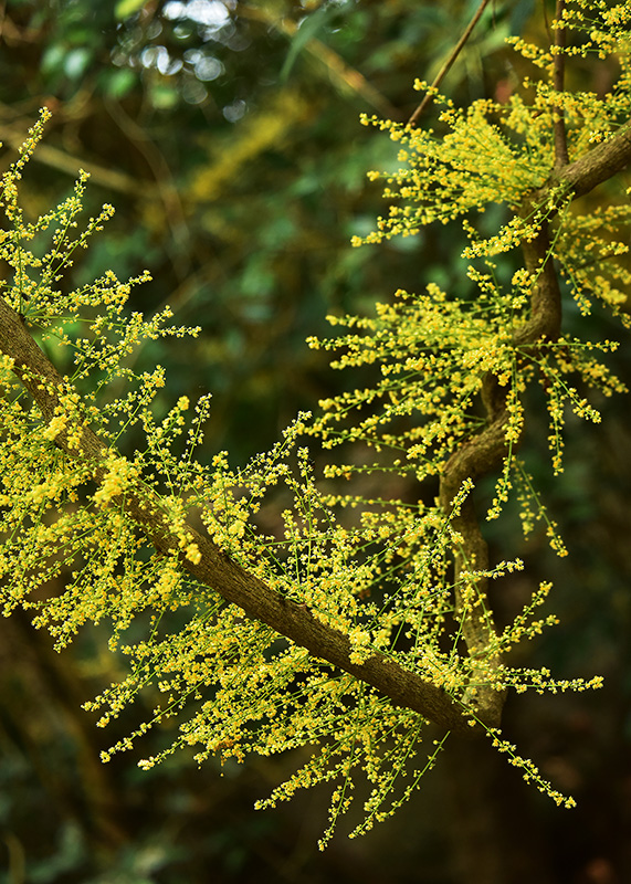 微信圖片_20230419165307