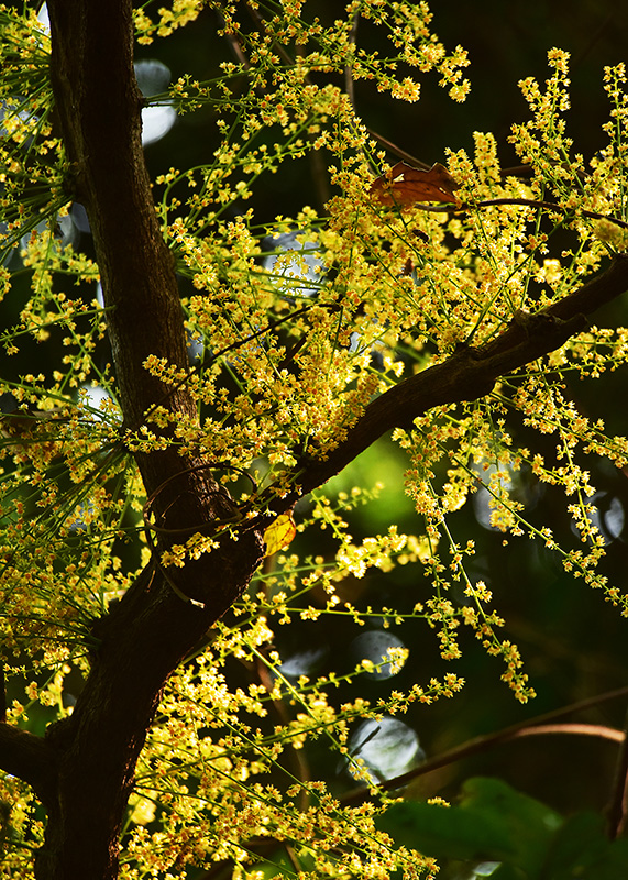 微信圖片_20230419165241