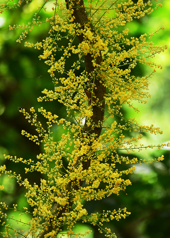 微信圖片_20230419165257