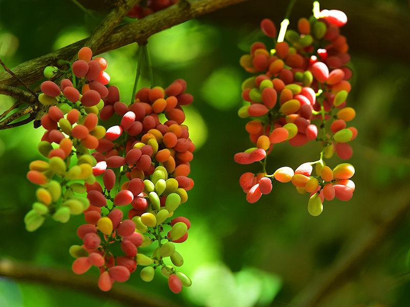 20230606153852_63862