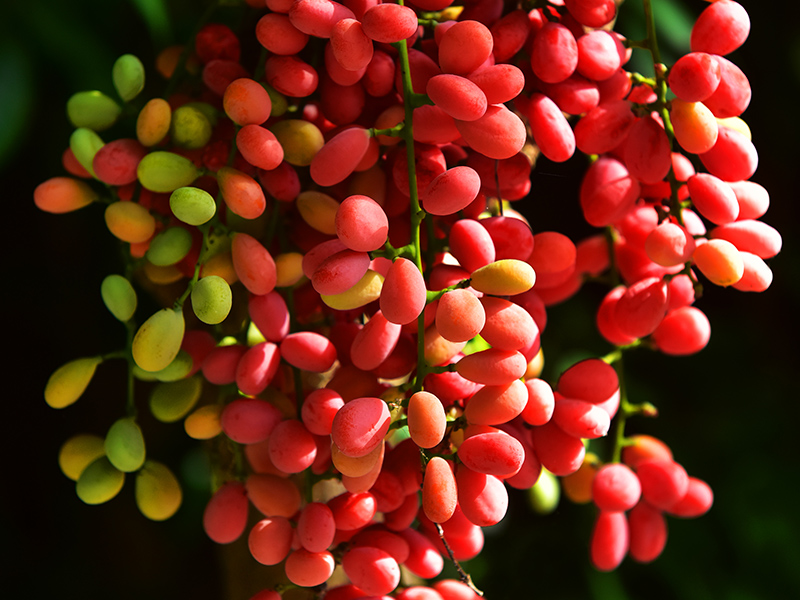 20230606153811_99540