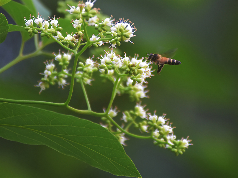 20231117100449_24977