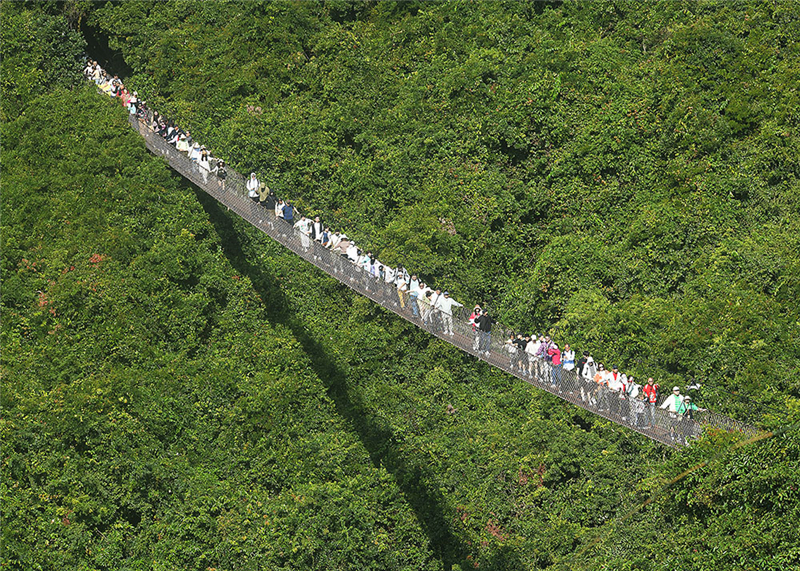 20240212225738_82711