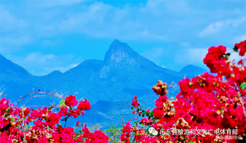 微信圖片_20240220173656 微信圖片_20240220173656