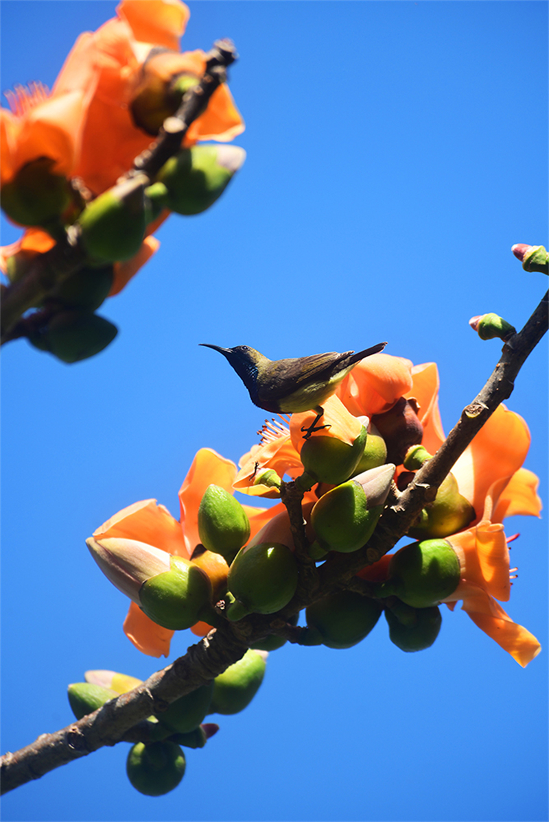 20240220171507_33808