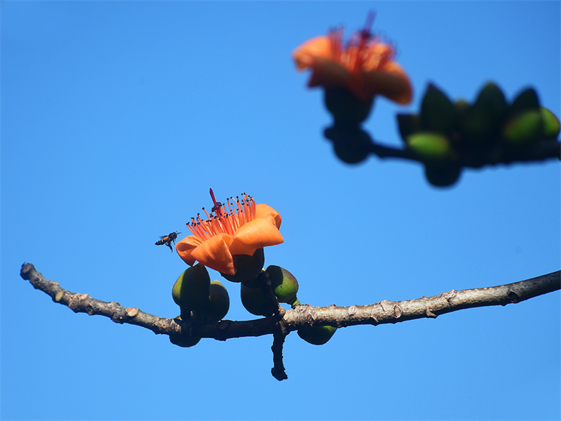 20240220171545_52425