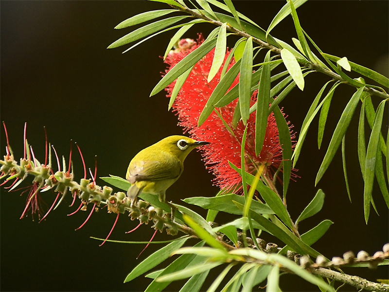 20240313220056_57335