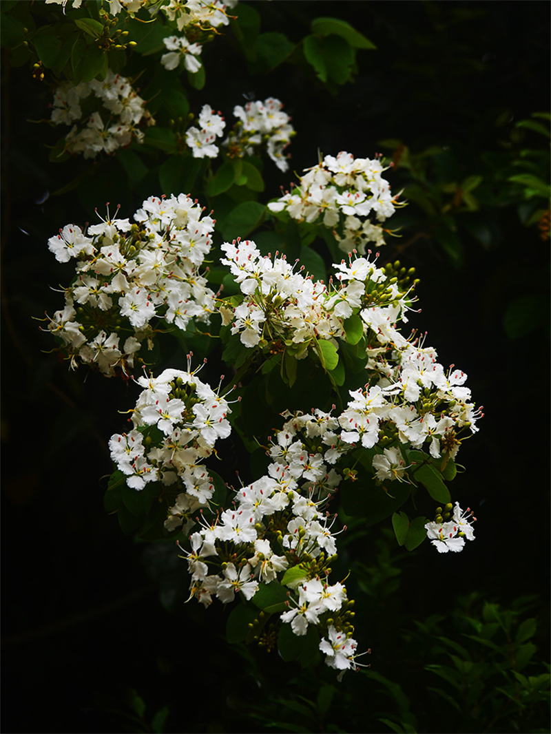 20240612232148_16928