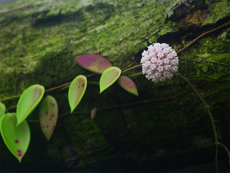 20240612232106_19559 20240612232106_19559