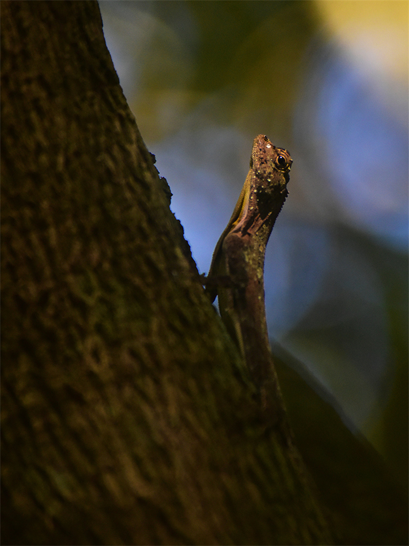 20240815164742_23660