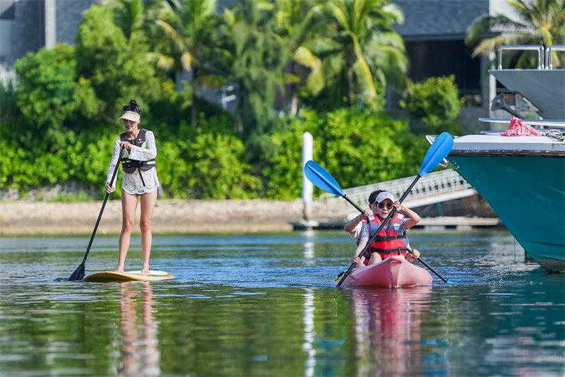 皮劃艇槳板 皮劃艇槳板